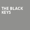 The Black Keys, Acrisure Arena, Palm Desert