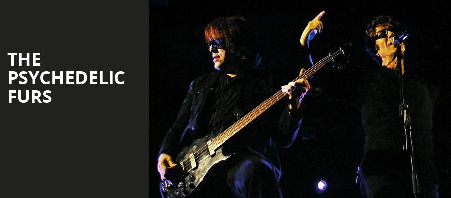 The Psychedelic Furs, Pappy Harriets, Palm Desert