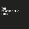 The Psychedelic Furs, Pappy Harriets, Palm Desert